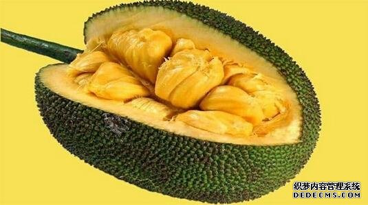عɏۣҊR(sh)VďV|˶һJ(rn)R(sh)ˮ