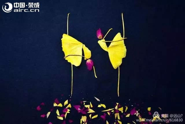 y~赸