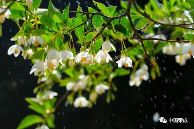 sỨľɽc(din)ٝ^|